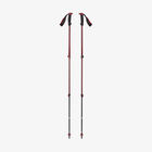 TRAIL BACK POLES מקל טיולים והליכה