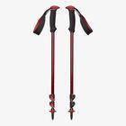 TRAIL BACK POLES מקל טיולים והליכה