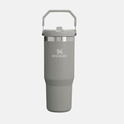 THE ICEFLOW FLIP STRAW TUMBLER | 0.89 L כוס עם קשית